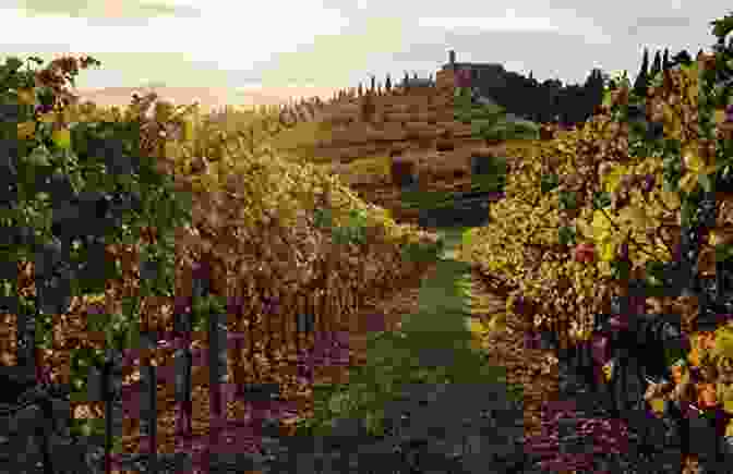 A Charming Scene Of A Tuscan Vineyard, Featuring Rows Of Vines Set Against A Backdrop Of Rolling Hills And Cypress Trees. Where To Drink Wine: The Essential Guide To The World S Must Visit Wineries