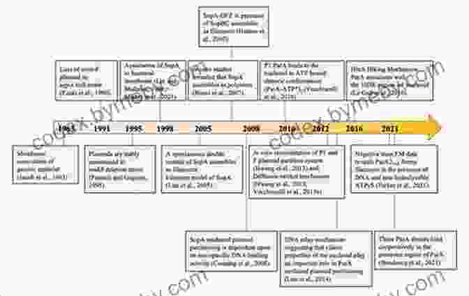 A Comprehensive Timeline Depicting The Major Milestones Of Human History, Illuminated By Archaeological Discoveries. Three Stones Make A Wall: The Story Of Archaeology