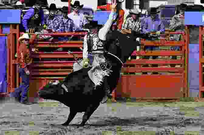 A Cowboy Riding A Bucking Bull At A Rodeo Event. Rodeo Facts And Guide: Rodeo History Equipment And More