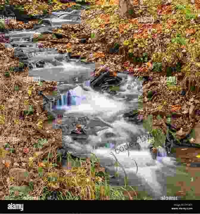 A Crystal Clear Stream Flowing Through The Catskills Mountains Trout Fishing In The Catskills