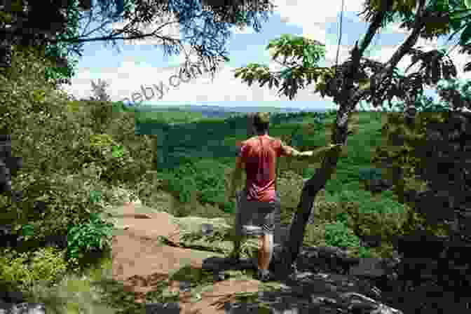 A Hiker Standing On The Summit Of Sleeping Giant, Enjoying The Panoramic View Of The Quinnipiac Valley. Connecticut Walk Book: The Complete Guide To Connecticut S Blue Blazed Hiking Trails