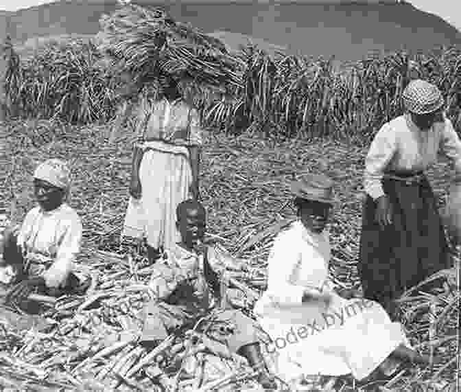 A Historic Sugar Plantation On St Christopher (St Kitts) The Island Hopping Digital Guide To The Leeward Islands Part II Saba To Montserrat: Including Saba St Eustatia (Statia) St Christopher (St Kitts) The Kingdom Of Redonda And Montserrat