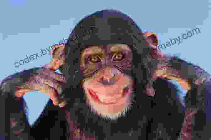 A Silly Rhyming Picture Of A Mischievous Monkey If You Have A Hat: A Silly Rhyming Picture For Kids