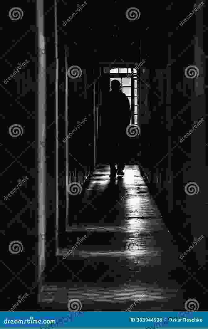 A Solitary Figure Standing In The Dimly Lit Corridor Of A Mental Institution, Their Eyes Filled With A Mix Of Fear And Hopelessness. My Experiences In A Lunatic Asylum By A Sane Patient