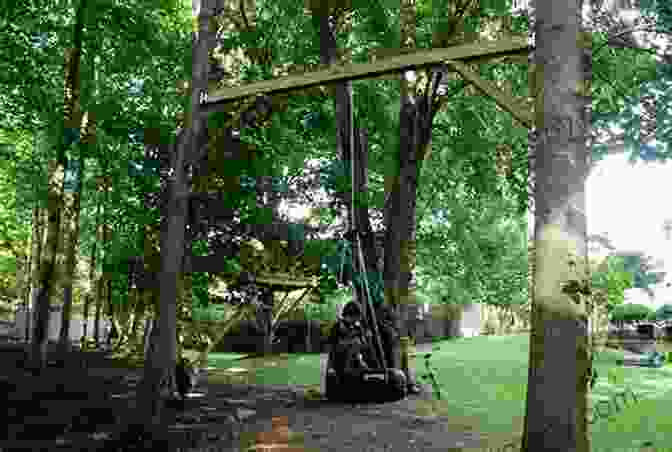 A Square To Square Swing Hanging From A Tree Branch In A Field The Square To Square Swing