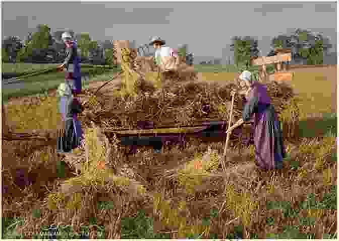 An Amish Family Working Together On Their Farm, Surrounded By Lush Greenery Plain Wisdom: An Invitation Into An Amish Home And The Hearts Of Two Women