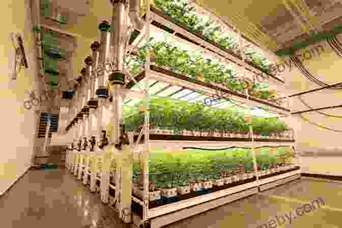 An Exterior View Of A Vertical Farm, With Rows Of Plants Growing On Vertical Racks The Chain: Farm Factory And The Fate Of Our Food