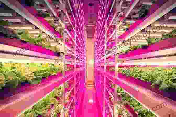 An Interior View Of A Farm Factory, With Plants Growing In Vertical Rows Under LED Lights The Chain: Farm Factory And The Fate Of Our Food