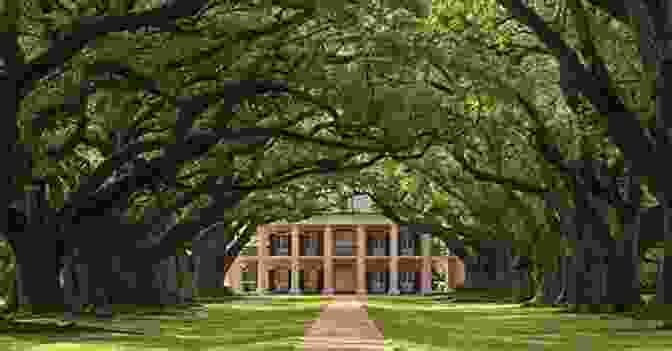 Antebellum Plantation In Georgia Or South Carolina Education And The Racial Dynamics Of Settler Colonialism In Early America: Georgia And South Carolina Ca 1700 Ca 1820 (Routledge Advances In American History 16)