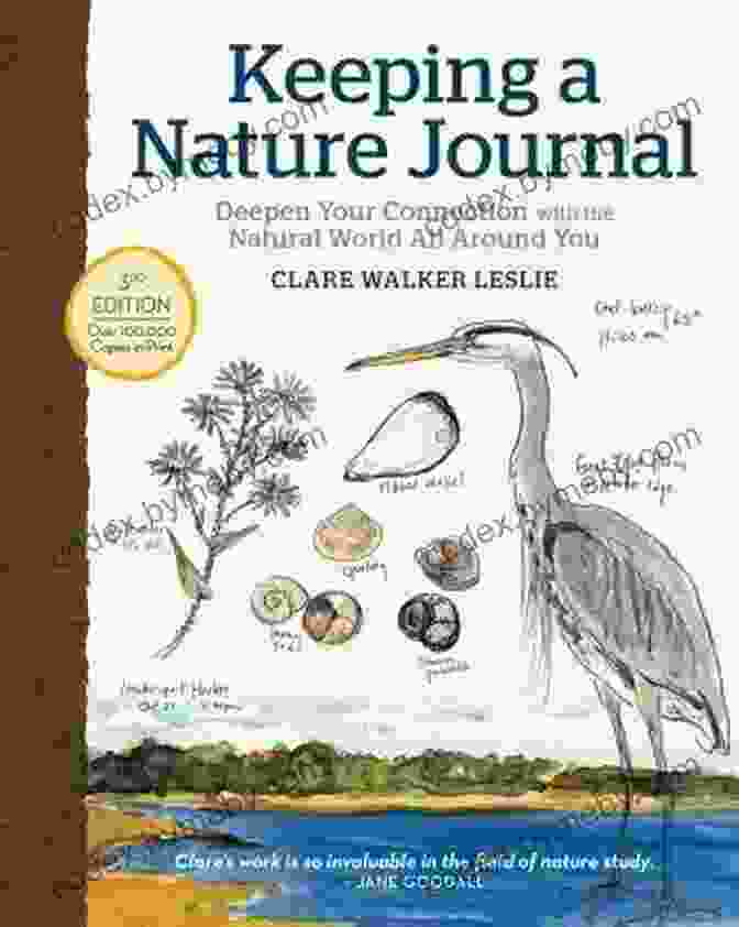 Book Cover Of Deepen Your Connection With The Natural World All Around You Keeping A Nature Journal 3rd Edition: Deepen Your Connection With The Natural World All Around You