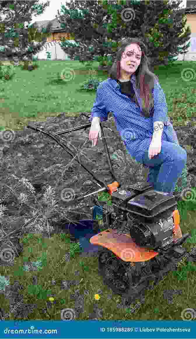 Book Cover Of 'The Little Girl With The Plow,' Featuring A Young Girl Plowing A Field With A Horse And Plow. The Little Girl With The Plow