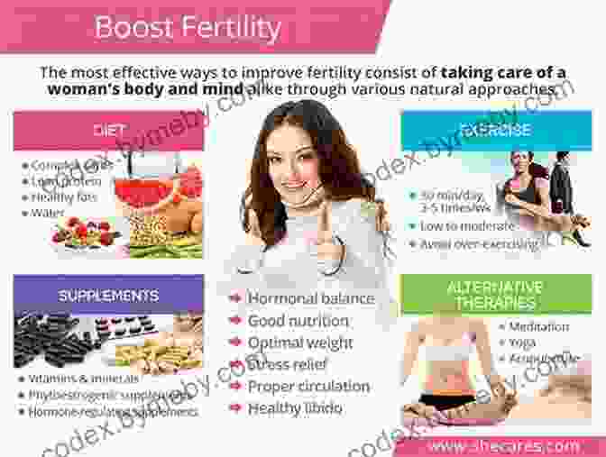 Cover Of 'Get Pregnant Increase Your Natural Fertility' Book Get Pregnant: Increase Your Natural Fertility