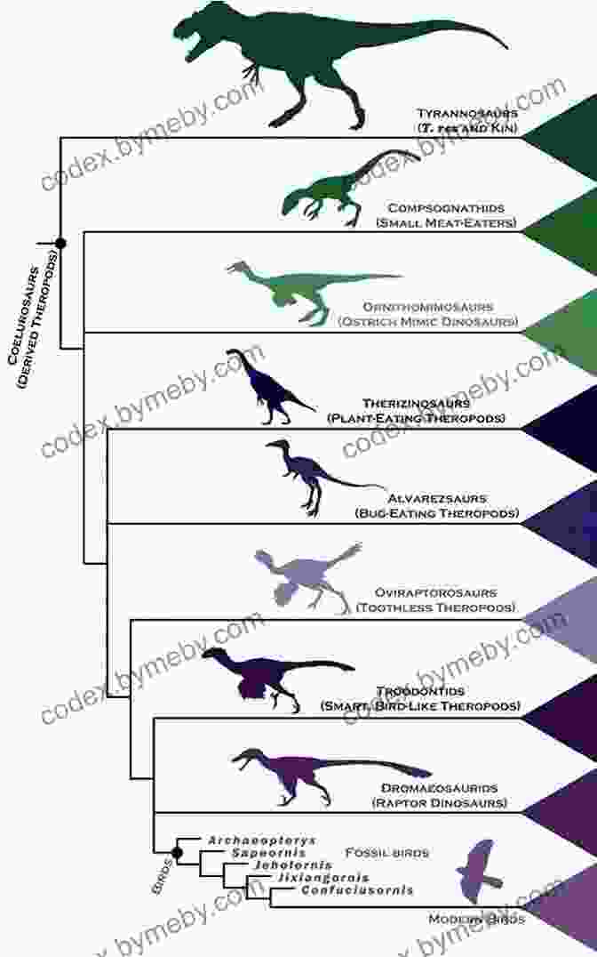 Diagram Showing The Evolutionary Divergence Of Birds From Dinosaurs The Genius Of Birds Jennifer Ackerman