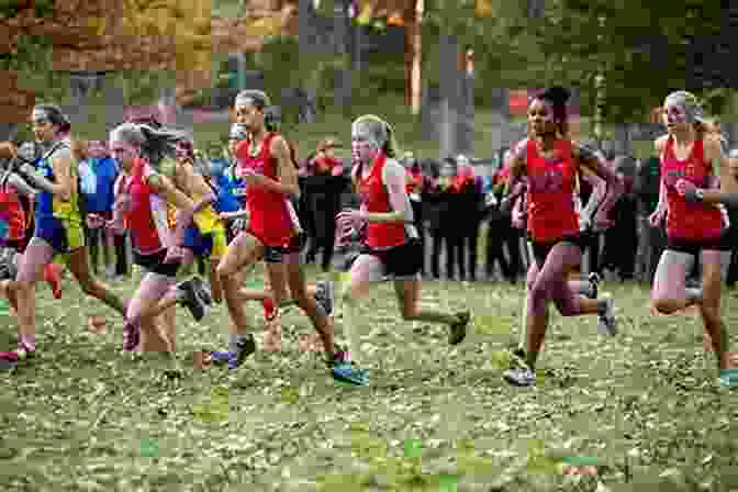 Emily Races Against Her Competitors In A Thrilling Cross Country Event Horse Wise (Saddle Club 11)