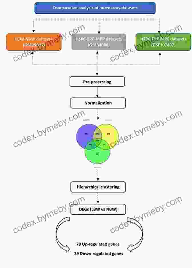 Flowchart Depicting The Comparative Analysis Process European Variations As A Key To Cooperation (Research For Policy)