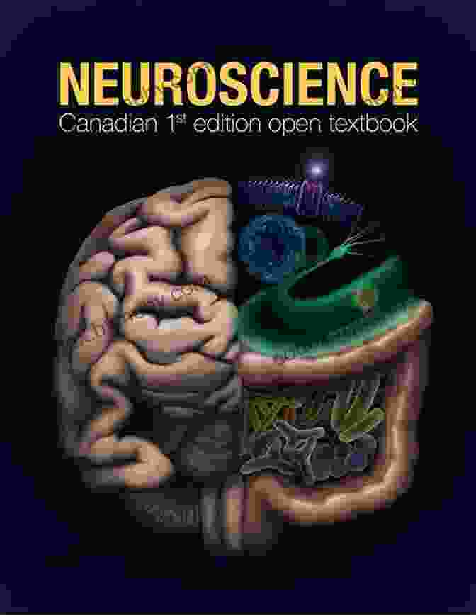 Harnessing The Brain Gain Advantage: The Neuroscience Of Business Book Cover Neuroscience For Leadership: Harnessing The Brain Gain Advantage (The Neuroscience Of Business)