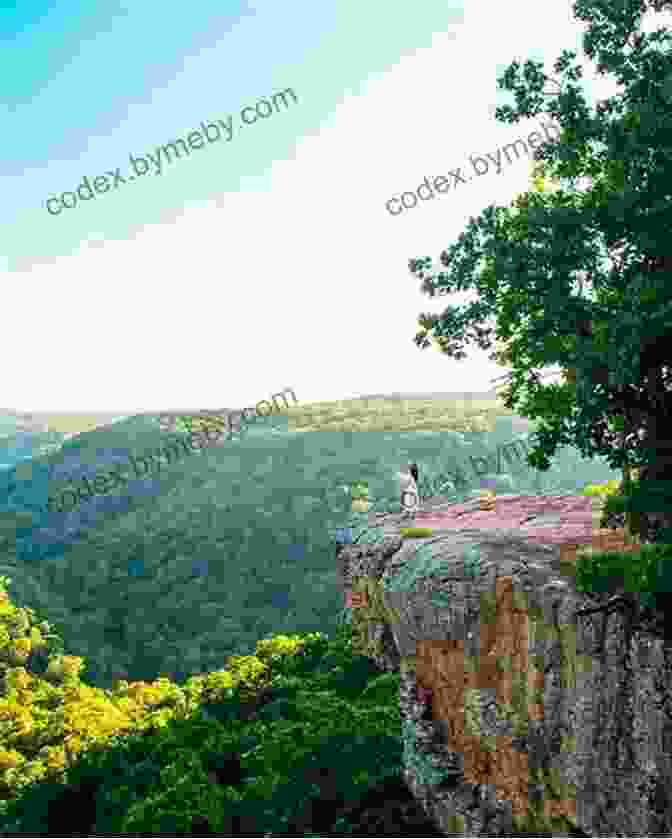 Hikers Admiring The Panoramic Vistas From Whitaker Point Five Star Trails: The Ozarks: 43 Spectacular Hikes In Arkansas And Missouri