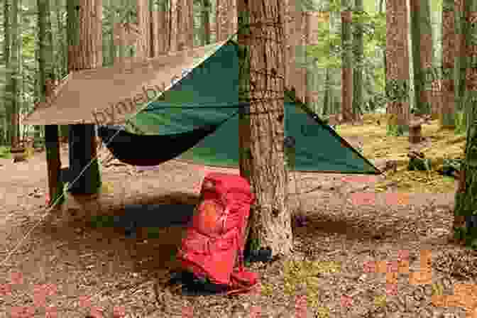 Hikers Huddled Under A Tarp For Shelter From The Rain And Wind The Ultimate Wilderness Survival Handbook: 172 Ultimate Tips Tricks (Outdoor Life)