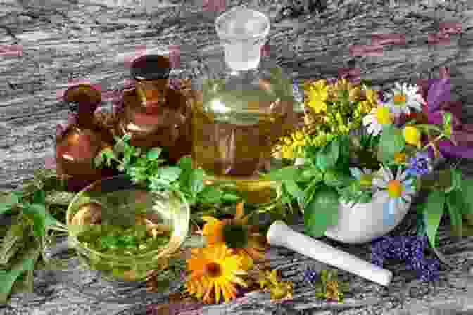 Image Of A Variety Of Herbal Remedies, Including Teas, Tinctures, And Salves The Native American Herbalist S Bible 10 In 1 : Official Herbal Medicine Encyclopedia Grow Your Personal Garden And Improve Your Wellness By Discovering The Native Herbal Dispensatory