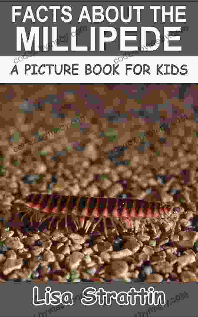 Millipede Crawling Facts About The Millipede (A Picture For Kids 448)