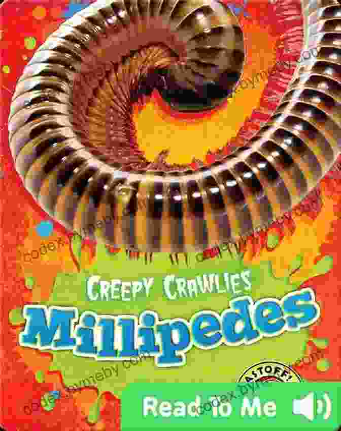 Millipede Picture Book Cover Facts About The Millipede (A Picture For Kids 448)