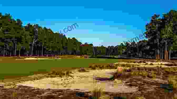 Pinehurst No. 2 Golf Course In North Carolina, Known For Its Challenging Layout And Pristine Conditions Fifty More Places To Play Golf Before You Die: Golf Experts Share The World S Greatest Destinations (Fifty Places)