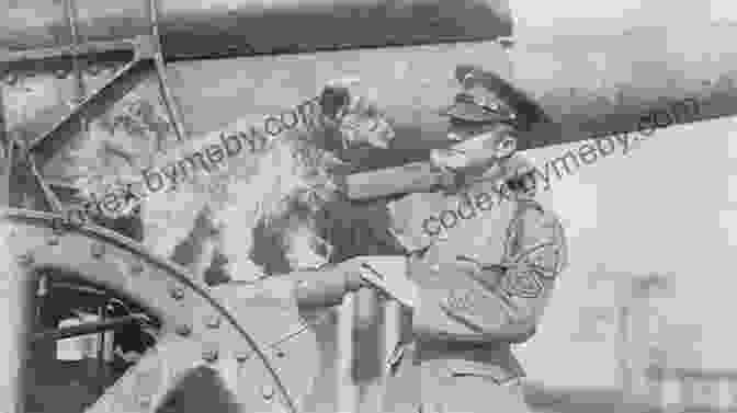 Rags, The Hero Dog Of WWI, Standing On A Battlefield Rags: Hero Dog Of WWI: A True Story