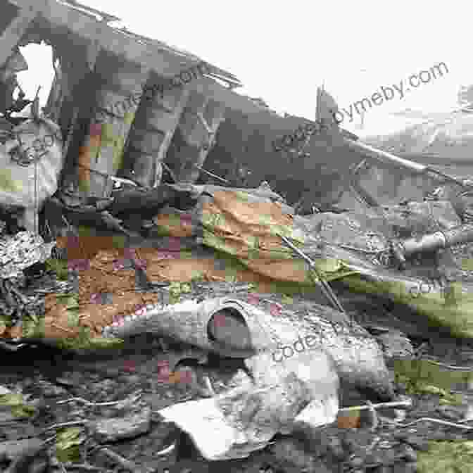 Rescue Workers Amidst The Wreckage Of The Crashed Plane Out Of The Silence: After The Crash