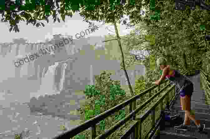 Roundy Admiring The Iguazu Falls Roundy And Friends Brazil