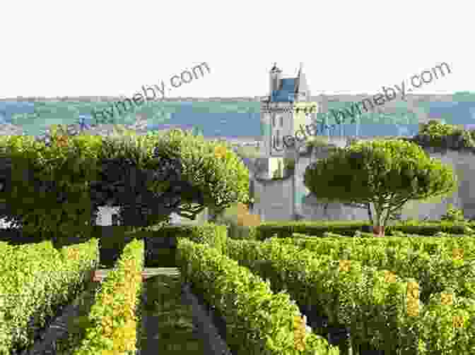 The Loire Valley Is A Beautiful Region Of France With Rolling Vineyards, Charming Villages, And Historic Chateaux. Gone With The Wine: Living The Dream In France S Loire Valley