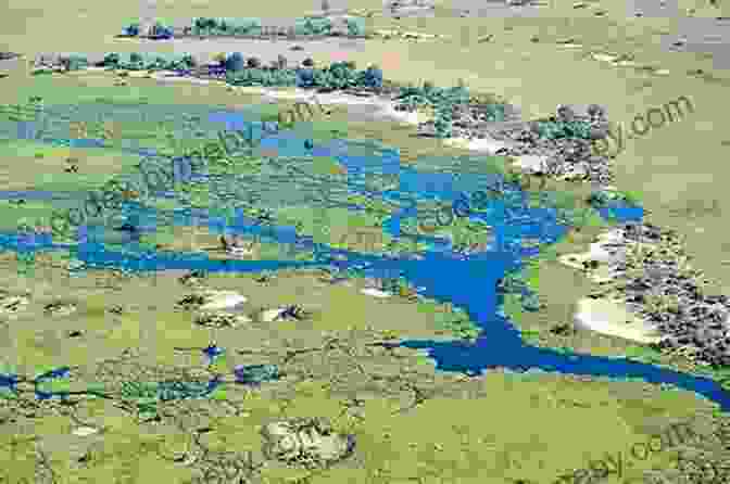 The Okavango Delta, A Watery Labyrinth Of Channels, Islands, And Lagoons Botswana: Okavango Delta Chobe Northern Kalahari (Bradt Travel Guides)