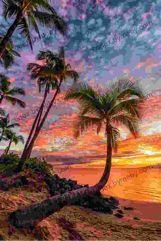 The Real Hawaii Life Book Cover, Featuring A Stunning Beach Sunset And Palm Trees The Real Hawaii Life: True Stories Of Relocations To Hawaii