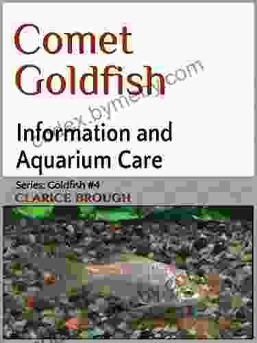 Comet Goldfish Clarice Brough