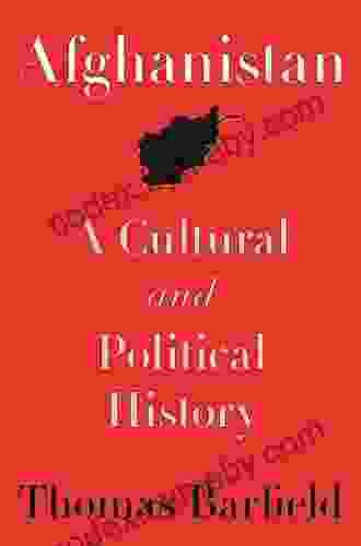 Afghanistan: A Cultural And Political History (Princeton Studies In Muslim Politics 36)