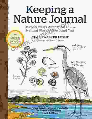 Keeping A Nature Journal 3rd Edition: Deepen Your Connection With The Natural World All Around You