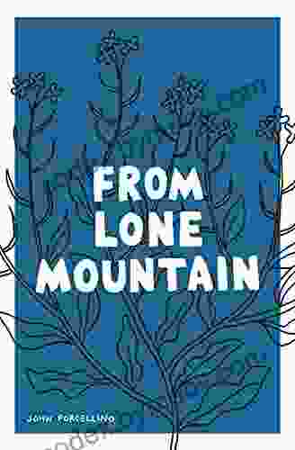 From Lone Mountain John Porcellino