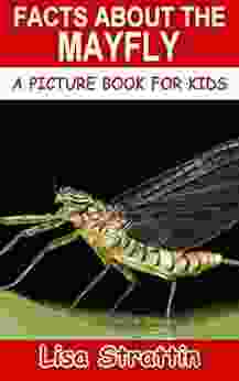 Facts About The Mayfly (A Picture For Kids 384)