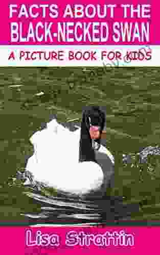 Facts About The Black Necked Swan (A Picture For Kids 452)