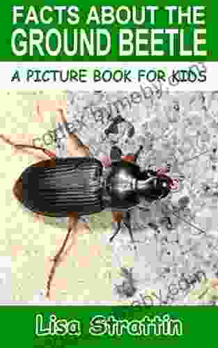 Facts About the Ground Beetle (A Picture For Kids 458)