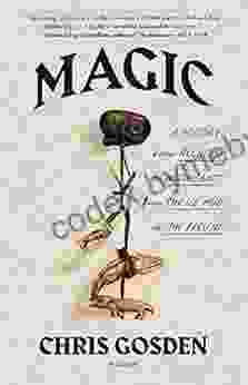 Magic: A History: From Alchemy to Witchcraft from the Ice Age to the Present