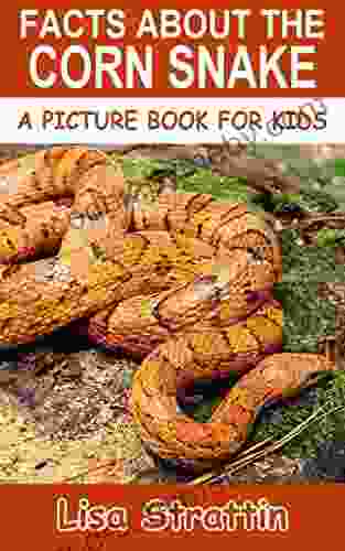 Hello Gecko : Fun Facts About the World s Favorite Lizard An Info Picturebook for Kids (Funny Fauna)