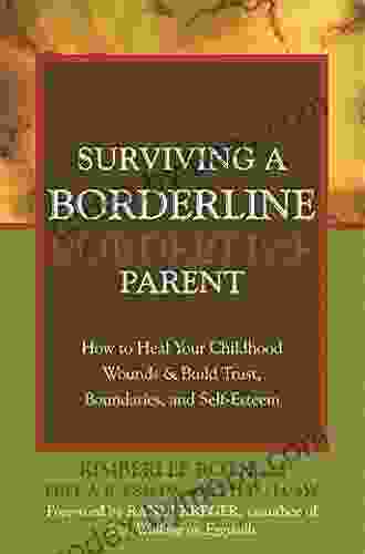 Understanding The Borderline Mother: Helping Her Children Transcend The Intense Unpredictable And Volatile Relationship