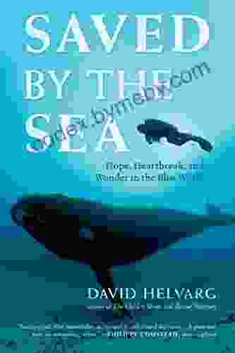 Saved By The Sea: Hope Heartbreak And Wonder In The Blue World