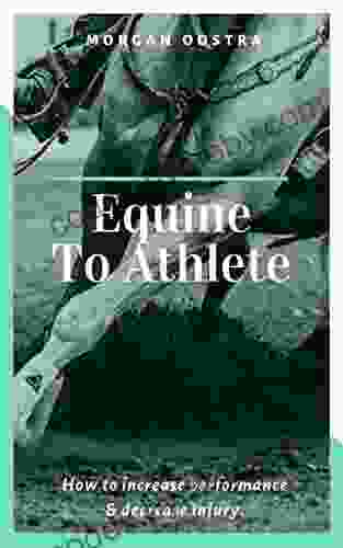 Equine To Athlete: How to increase performance and decrease injury