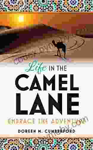 Life In The Camel Lane: Embrace The Adventure