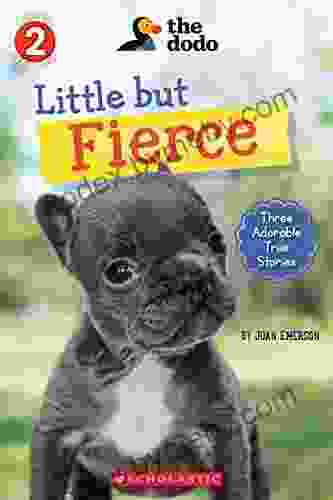 Little But Fierce (The Dodo: Scholastic Reader Level 2) (Scholastic Reader: Level 2 1)