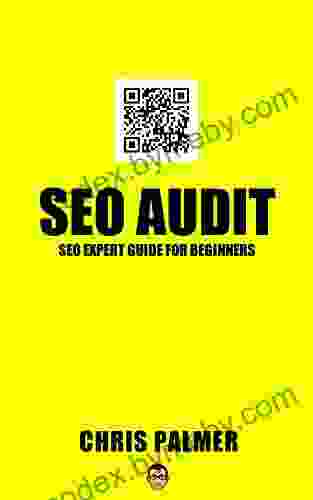 SEO Audit: SEO Expert Chris Palmer SEO Audit for Beginners