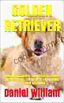 GOLDEN RETRIEVER: GOLDEN RETRIEVER: THE ESSENTIAL GUIDE ON EVERYTHING YOU NEED TO KNOW ABOUT THE AND MORE