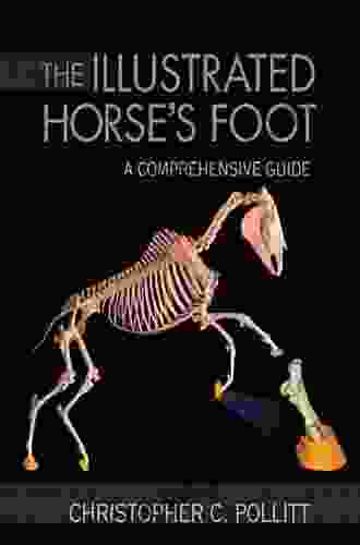 The Illustrated Horse s Foot: A comprehensive guide