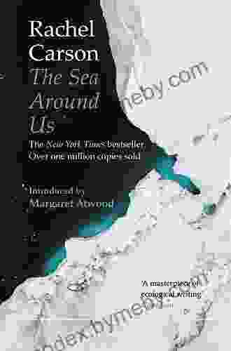 The Sea Around Us Cindy Dees